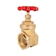 brass gate valve