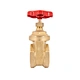 gate valve