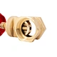 brass gate valve
